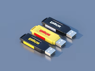 Kingston USB Flash Drives in Black and Yellow Colors Portable Storage Devices for Daily Use 3d model