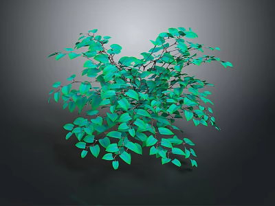 Lush Green Leafy Plant With Dense Foliage And Heart Shaped Leaves For Decoration 3d model