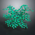 Lush Green Leafy Plant With Dense Foliage And Heart Shaped Leaves For Decoration