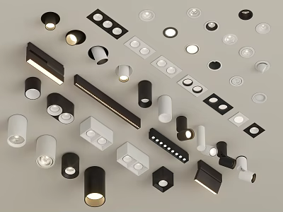 Modern Downlights and Spotlights with Various Designs and Sleek Black White Finishes 3d model