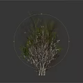 Various Tree Scenery Components with Different Foliage and Branch Structures 3d model