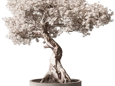 Artistic Bonsai Tree with Twisted Trunk Exposed Roots and Lush Foliage in Pot 3d model