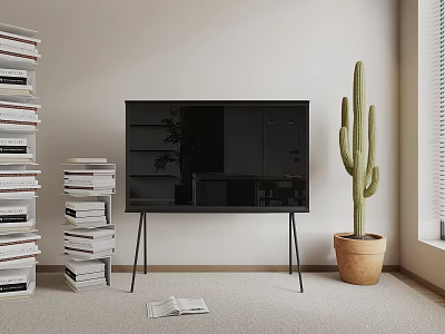 Black TV With Stand In Minimalist Living Room With Books 3d model