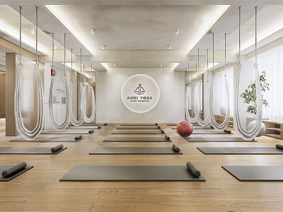 Spacious Yoga Studio Fitness Area With Aerial Hammocks Yoga Mats And Red Exercise Ball 3d model