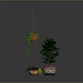 Indoor Plant Arrangement Featuring Hanging Basket Vines And Potted Large Leaf Plants