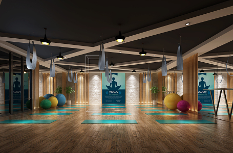 Modern Yoga Studio Dance Studio Gym 3d model