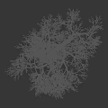 Snow Covered Tree With Bare Branches And Silhouette Figure On Dark Background 3d model