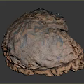 Artisanal Baked Bread With Rustic Crusty Texture Hollow Center And Golden Brown Color