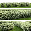 Well Trimmed Green Shrubs As Hedge With Human Silhouettes For Size Reference