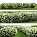 Hedge Square Hedge Green Belt Plant Isolation Belt Greening Wall Shrub 3d model