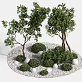Lush Green Trees in Circular Gravel Garden with Shrubs and White Spherical Decorations
