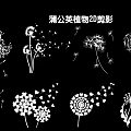 Stylish Dandelion Plant 2D Silhouette Wall Decal Hanging Decorative Art