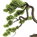 Artistic Bonsai Potted Plant With Curved Trunk Lush Foliage In Gray Ceramic Pot