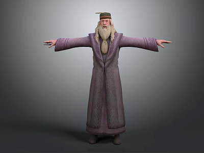 Wizard Character With Purple Robe Long White Beard Green Hat And Outstretched Arms 3d model