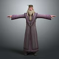 Wizard Character With Purple Robe Long White Beard Green Hat And Outstretched Arms