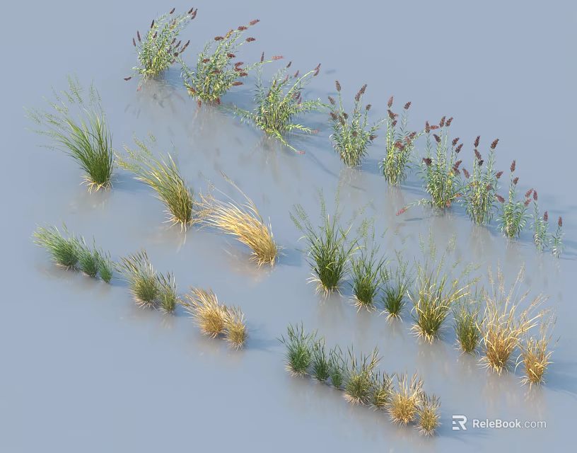 Various Types of Green and Yellow Grasses with Purple Spiky Flowers on Light Background 3d model 