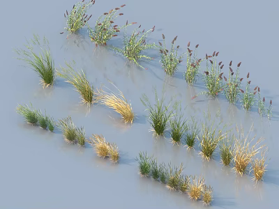 Various Types of Green and Yellow Grasses with Purple Spiky Flowers on Light Background 3d model
