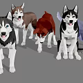 Cute Husky Dogs In Different Colors Standing Together On Gray Background