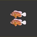 Fish Freshwater Fish Clown Fish Sea Fish Animal Game Animal Cartoon Animal Animal 3d model