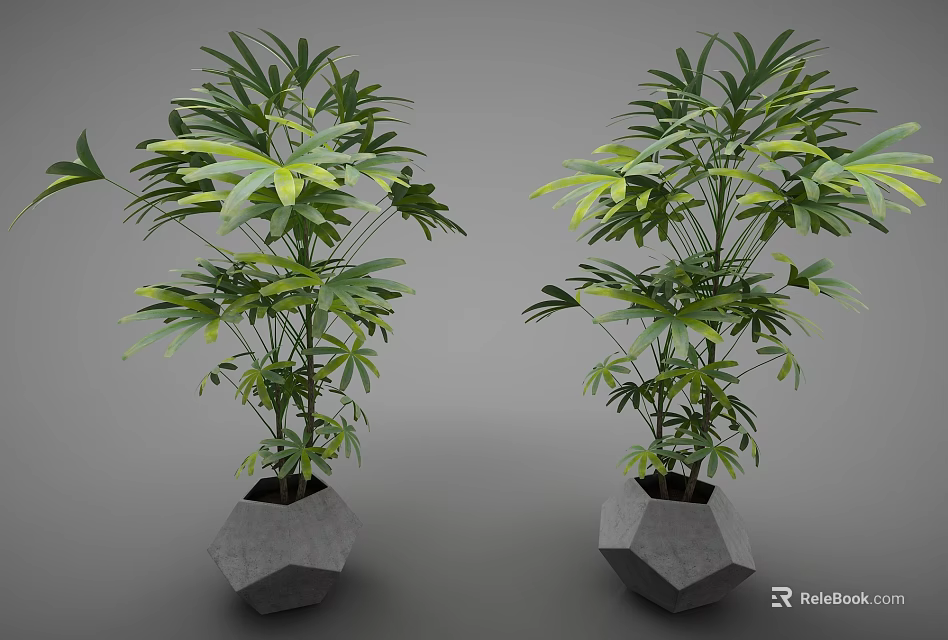 Bonsai Potted Plants in Gray Hexagonal Pots with Lush Green Leaves 3d model 