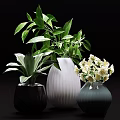 Decorative Ornament Set Featuring Black White Gray Vases with Green Leaves and White Flowers