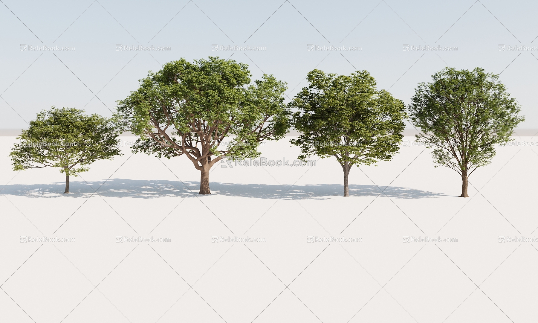 regular trees, green trees, street trees model