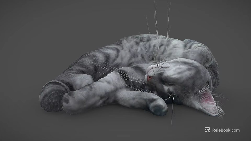 Fluffy Grey Cat Curled Up Sleeping Peacefully On Soft Surface 3d model 