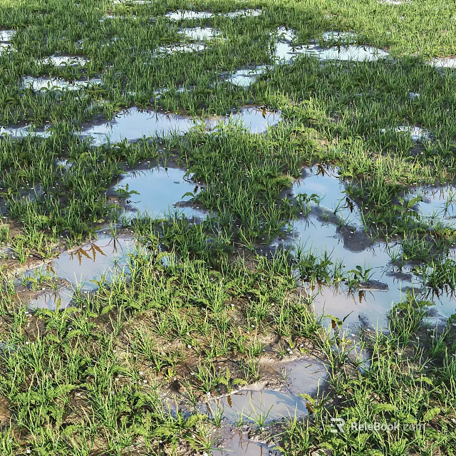 Lush Green Grass Thriving With Shallow Water Puddles In Natural Field 3d model 