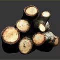 Natural Wooden Logs Stacked With Green Bark And Smooth Cross Sections