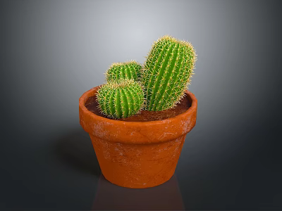 Three Green Cactus Plants In Orange Terracotta Pot On Dark Background 3d model
