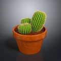 Three Green Cactus Plants In Orange Terracotta Pot On Dark Background