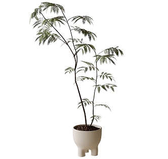 potted plant bonsai plant green plant 3d model