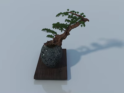Artistic Pine Bonsai Tree in Stone Pot on Wooden Stand with White Background 3d model