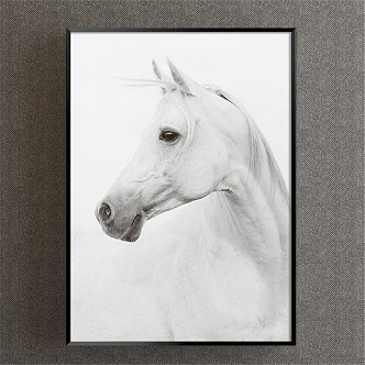 Nordic Animal Painting Grey Study Animal Horse Decorative Painting 3d model