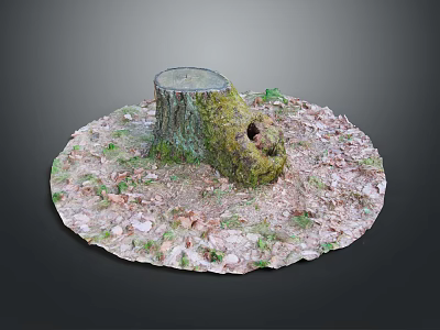 Natural Garden Landscape Featuring Moss Covered Tree Stump With Fallen Leaves On Circular Ground 3d model