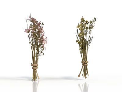 Two Bunches of Dried Flowers Pink and Green Tied with String on White Background 3d model