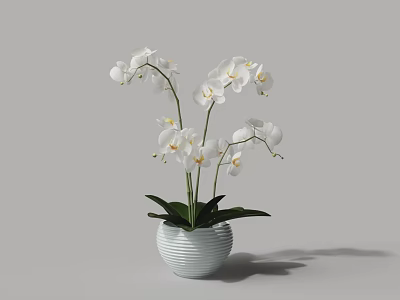 Elegant Bonsai Potted Plant With White Orchid Flowers And Green Leaves In Striped Pot 3d model