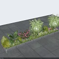 Bush Plants In Rectangular Planter With Various Greenery Pink Flowers And Gray Stone Tile Ground