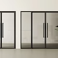 Modern Sliding Glass Doors with Black Frames in Interior and Potted Plant