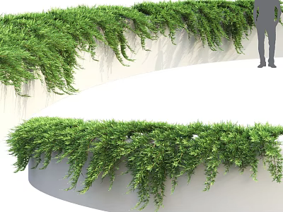 Lush Green Vines Hanging On Curved White Wall For Outdoor Landscape Design 3d model