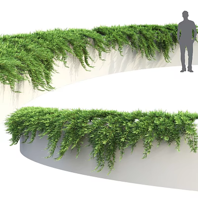 Lush Green Vines Hanging On Curved White Wall For Outdoor Landscape Design 3d model