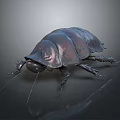 Dark Metallic Cockroach Close Up View With Shiny Exoskeleton And Gray Background 3d model