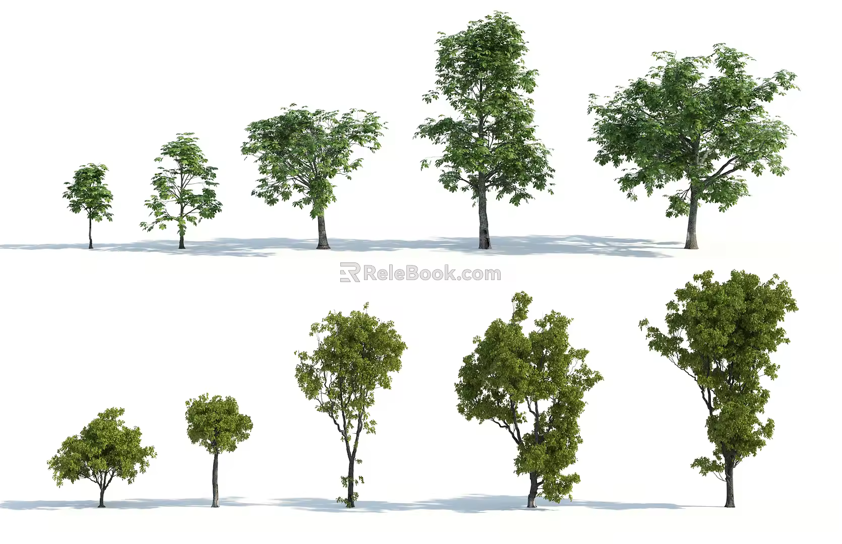 The Modern Tree 3d model