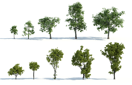 The Modern Tree 3d model