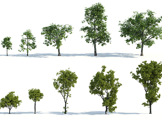 The Modern Tree 3d model