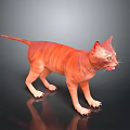 Orange Tabby Cat 3D Model Standing On Black Reflective Surface With Gray Background 3d model