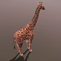 Cartoon Giraffe Three Shading Two Giraffe Toy Cartoon Animal African Animal Low Face Number Low Model Simple Model Video Level Super Realistic 3d model