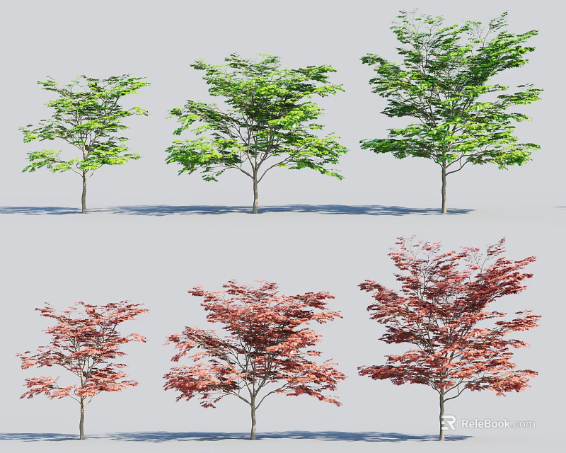 Six Arbor Trees With Green And Red Leaves Arranged In Rows For Landscape 3d model 