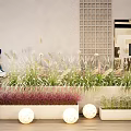 Modern Plant Combination With Mixed White Pink Grasses In Light Planters And Spherical Lights