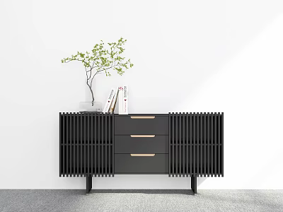 Modern Black Entryway Console Table With Slatted Drawers Potted Plant And Books On White Wall 3d model